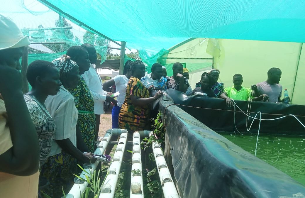 FINGERLING PRODUCTION