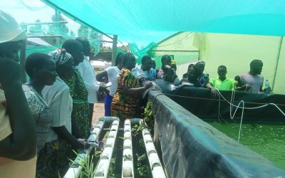 Women Social Economic Empowerment